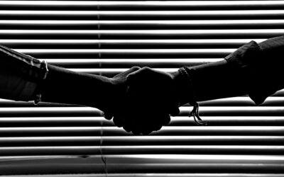 Stores thermiques vs. stores classiques : quelles différences ? »